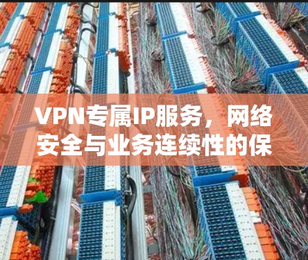 VPN专属IP服务，网络安全与业务连续性的保障