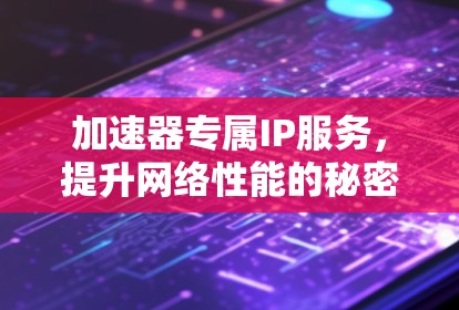 加速器专属IP服务，提升网络性能的秘密武器