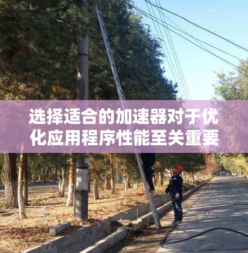 选择适合的加速器对于优化应用程序性能至关重要。以下是基于您的需求和考虑因素的分步建议