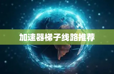 加速器梯子线路推荐