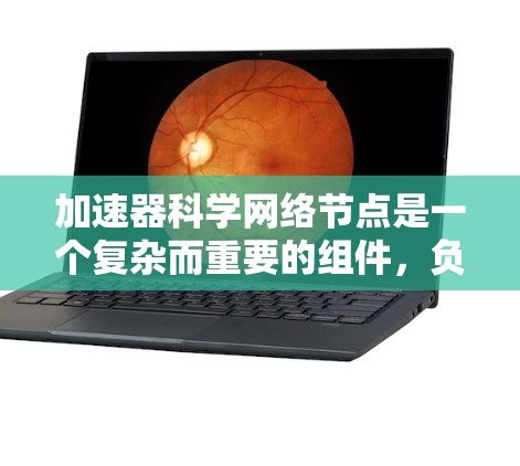 加速器科学网络节点是一个复杂而重要的组件，负责管理和传输加速器产生的大量数据，以确保实验的高效性和安全性。以下是对这一概念的详细分析