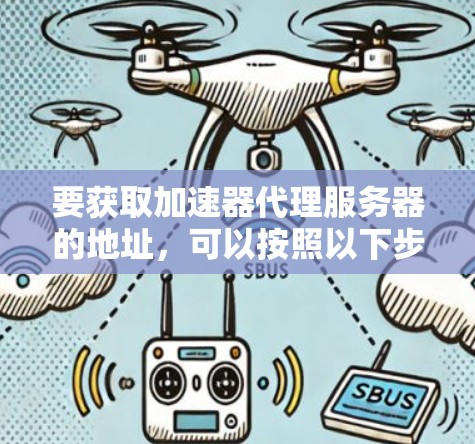 要获取加速器代理服务器的地址，可以按照以下步骤进行