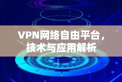 VPN网络自由平台，技术与应用解析