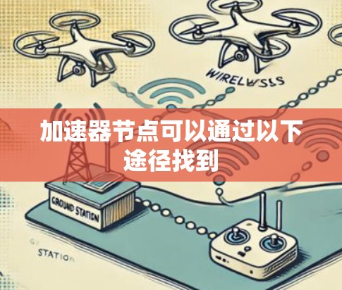 加速器节点可以通过以下途径找到