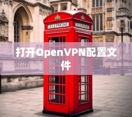 打开OpenVPN配置文件