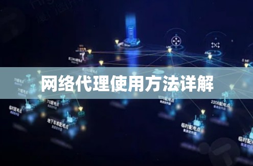 网络代理使用方法详解