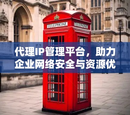代理IP管理平台，助力企业网络安全与资源优化