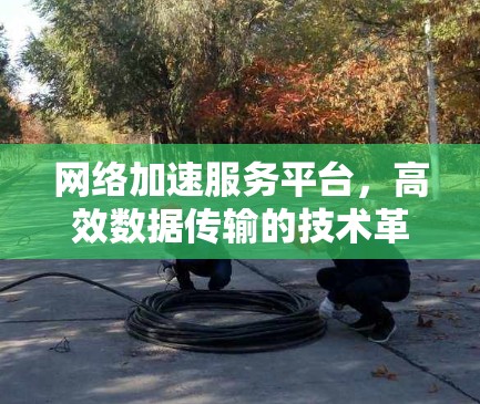 网络加速服务平台，高效数据传输的技术革新