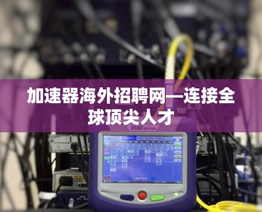 加速器海外招聘网—连接全球顶尖人才