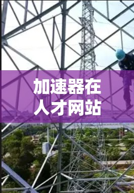 加速器在人才网站访问中的应用与优化