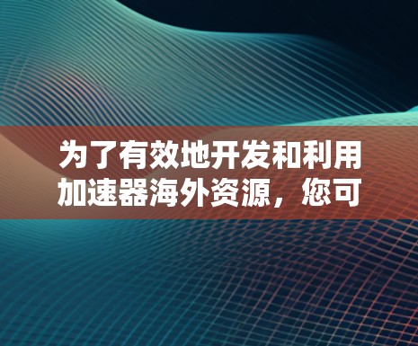 为了有效地开发和利用加速器海外资源，您可以按照以下步骤进行