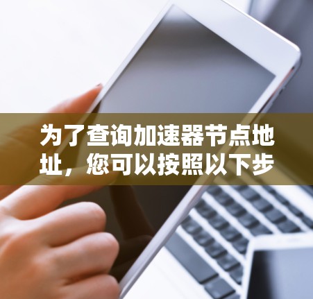为了查询加速器节点地址，您可以按照以下步骤操作