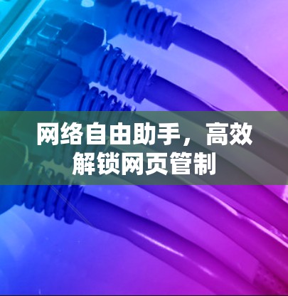 网络自由助手，高效解锁网页管制