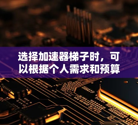 选择加速器梯子时，可以根据个人需求和预算来决定。以下是对不同品牌的简要分析和建议