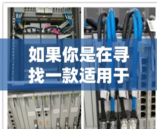 如果你是在寻找一款适用于VPN连接的应用软件，以下是一些常见的VPN服务和应用推荐