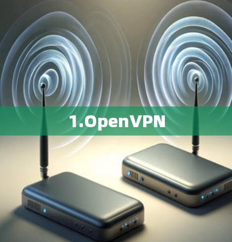 1.OpenVPN