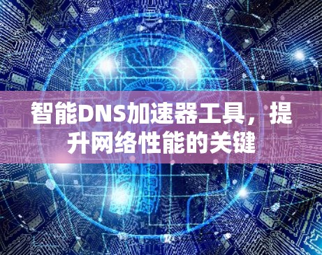 智能DNS加速器工具，提升网络性能的关键