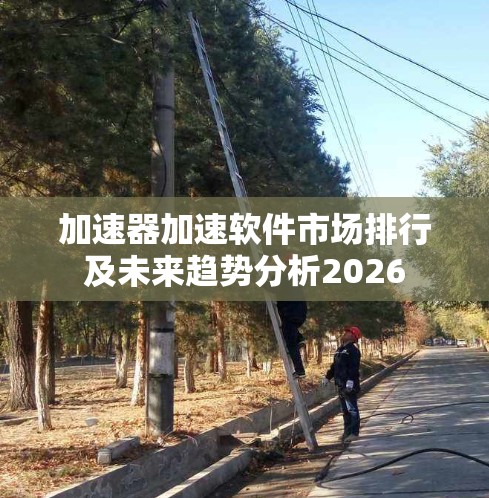加速器加速软件市场排行及未来趋势分析2026