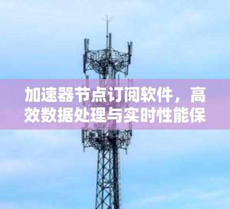 加速器节点订阅软件，高效数据处理与实时性能保障