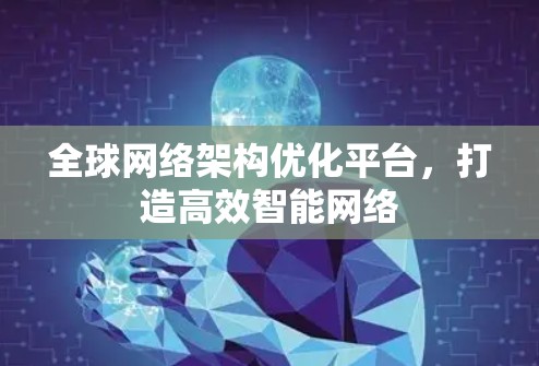 全球网络架构优化平台，打造高效智能网络
