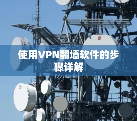 使用VPN翻墙软件的步骤详解