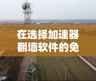 在选择加速器翻墙软件的免费版时，以下是对常见工具的总结和建议