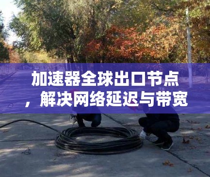 加速器全球出口节点，解决网络延迟与带宽瓶颈问题的创新方案