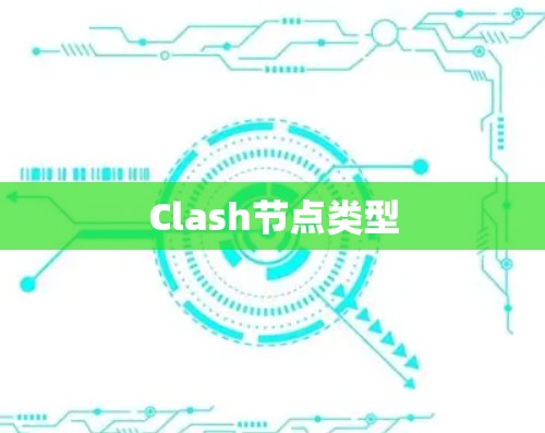 Clash节点类型