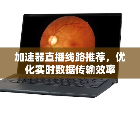 加速器直播线路推荐，优化实时数据传输效率