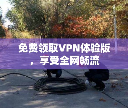 免费领取VPN体验版，享受全网畅流