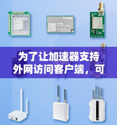 为了让加速器支持外网访问客户端，可以按照以下步骤进行操作