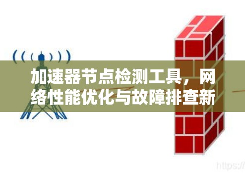 加速器节点检测工具，网络性能优化与故障排查新方法