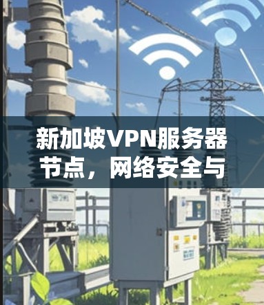 新加坡VPN服务器节点，网络安全与数据隐私的最佳选择