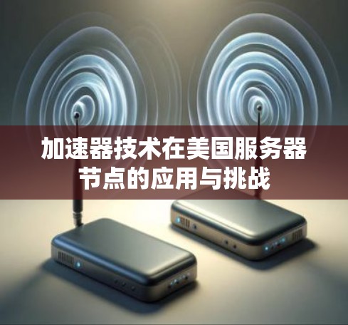 加速器技术在美国服务器节点的应用与挑战