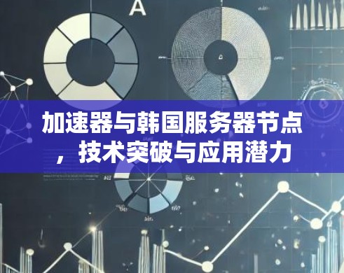 加速器与韩国服务器节点，技术突破与应用潜力