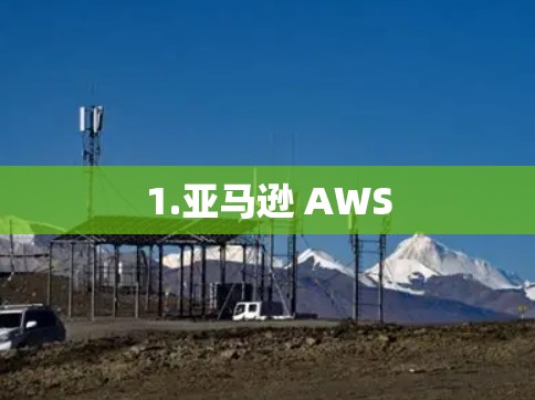 1.亚马逊 AWS
