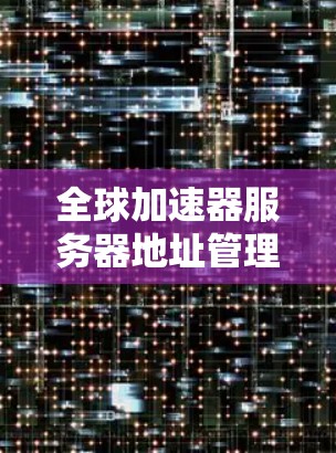 全球加速器服务器地址管理与优化方案