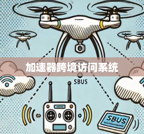 加速器跨境访问系统