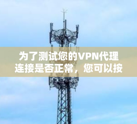 为了测试您的VPN代理连接是否正常，您可以按照以下步骤进行