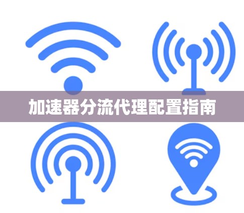 加速器分流代理配置指南