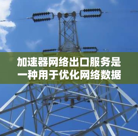 加速器网络出口服务是一种用于优化网络数据传输的技术，旨在提高数据传输效率和性能。以下是对加速器网络出口服务的详细分析