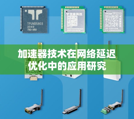 加速器技术在网络延迟优化中的应用研究