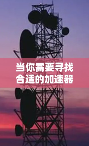 当你需要寻找合适的加速器代理IP时，可以按照以下步骤进行