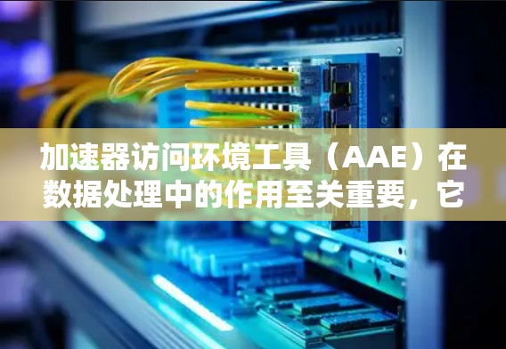 加速器访问环境工具（AAE）在数据处理中的作用至关重要，它们帮助开发者充分利用各种加速器来提升任务效率。以下是对加速器访问环境工具的详细分析