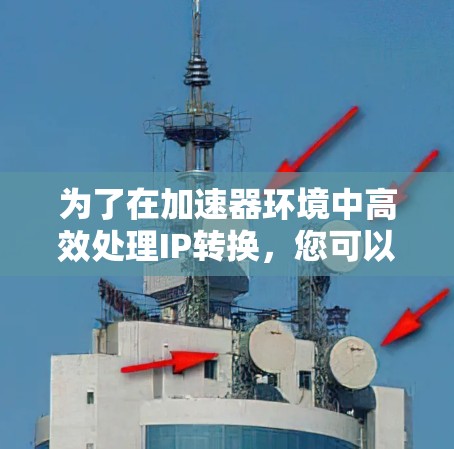 为了在加速器环境中高效处理IP转换，您可以按照以下步骤选择合适的软件