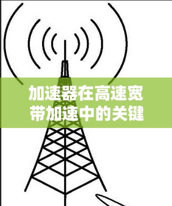 加速器在高速宽带加速中的关键作用