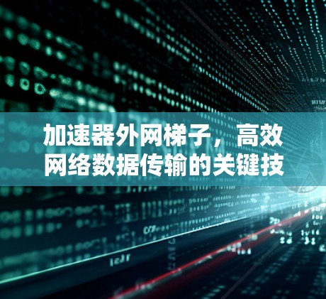 加速器外网梯子，高效网络数据传输的关键技术