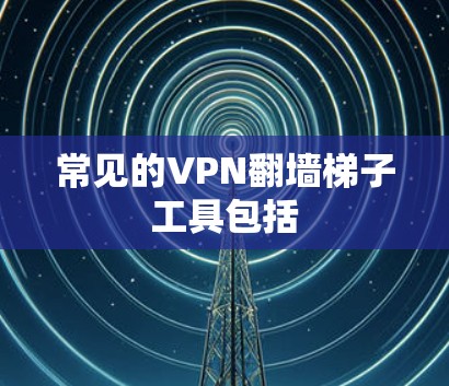 常见的VPN翻墙梯子工具包括