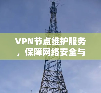VPN节点维护服务，保障网络安全与稳定运行