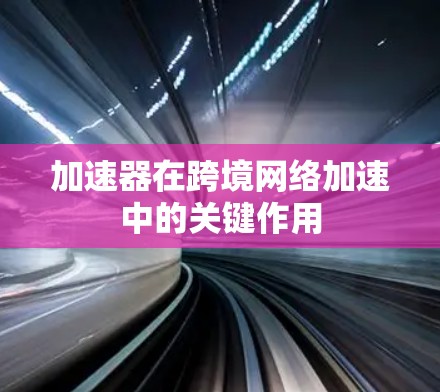 加速器在跨境网络加速中的关键作用